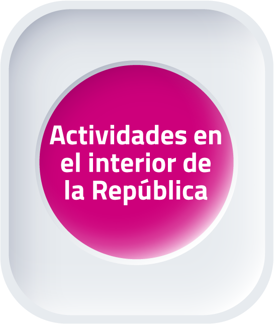 actividades_en_el_interior_de_la_republica